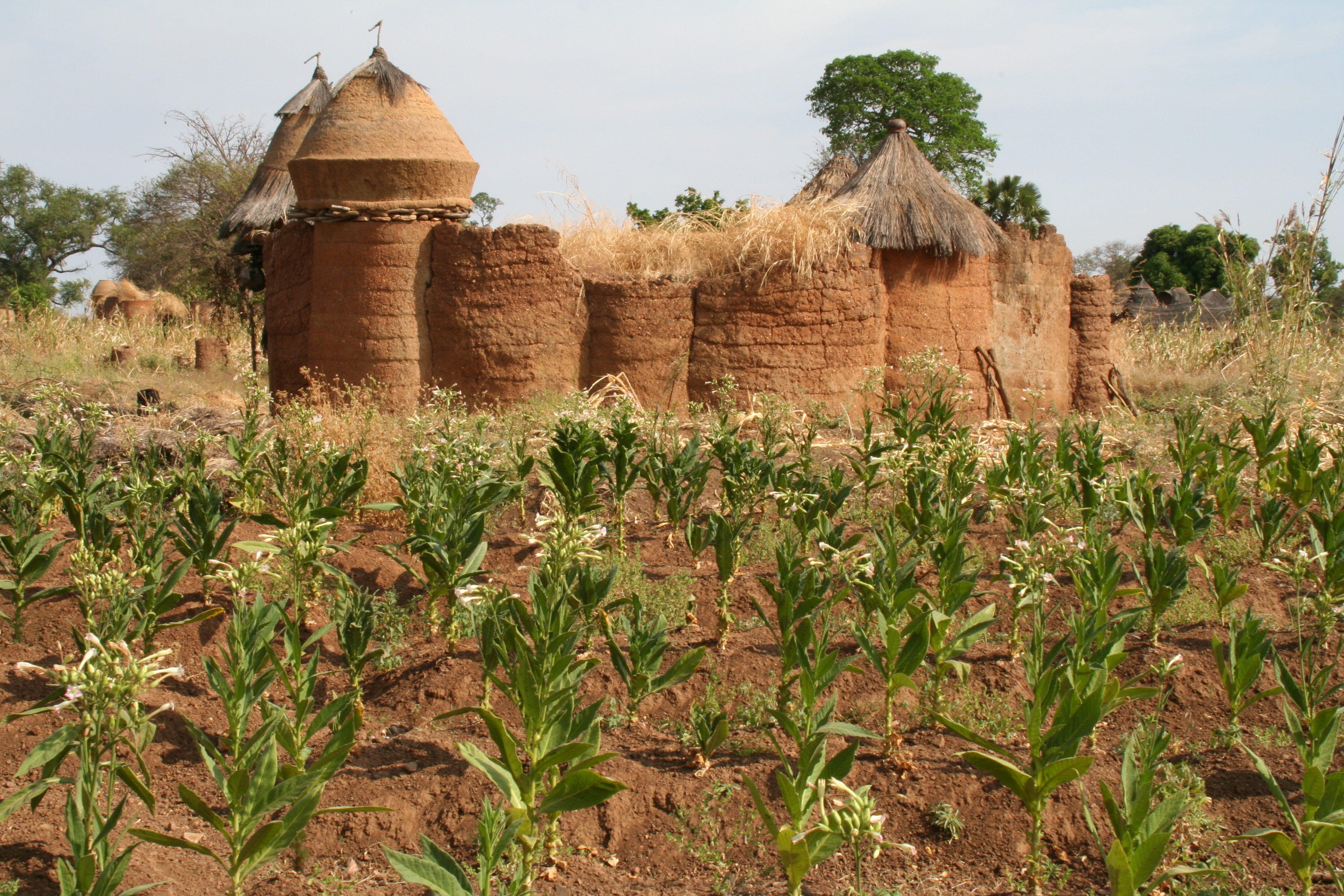 Trunz-Blech Centre Formation Liweitari in Benin